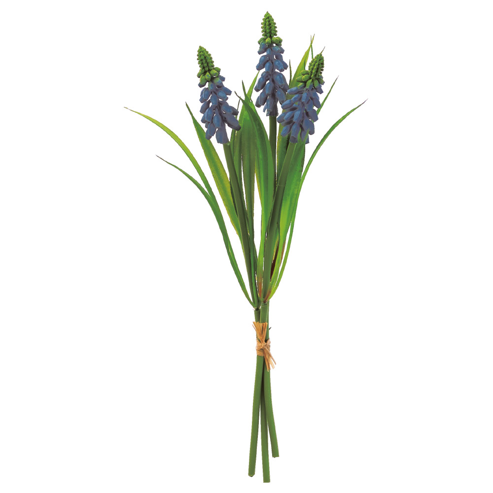 A-35488 ムスカリバンチ（１束３本）