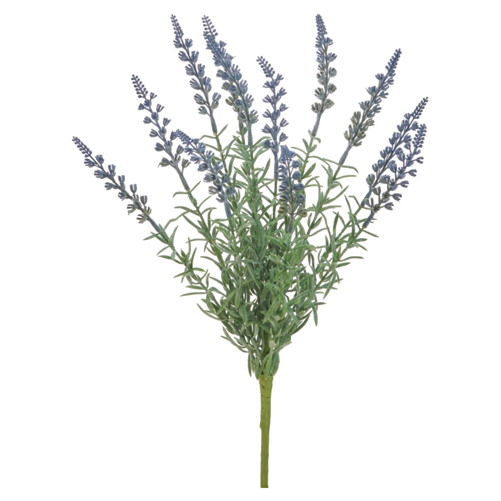 A-35496 ラベンダーブッシュ