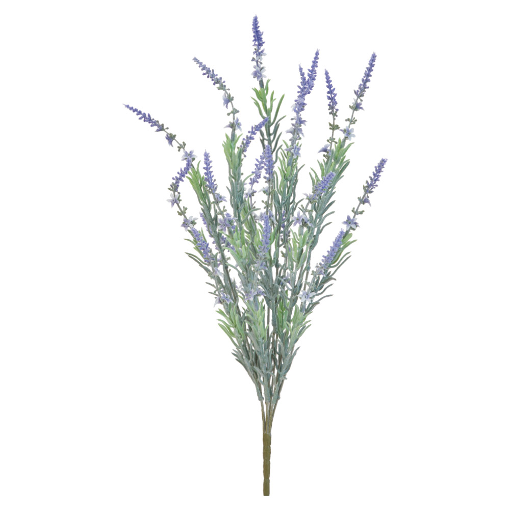 A-35497 ラベンダーブッシュ