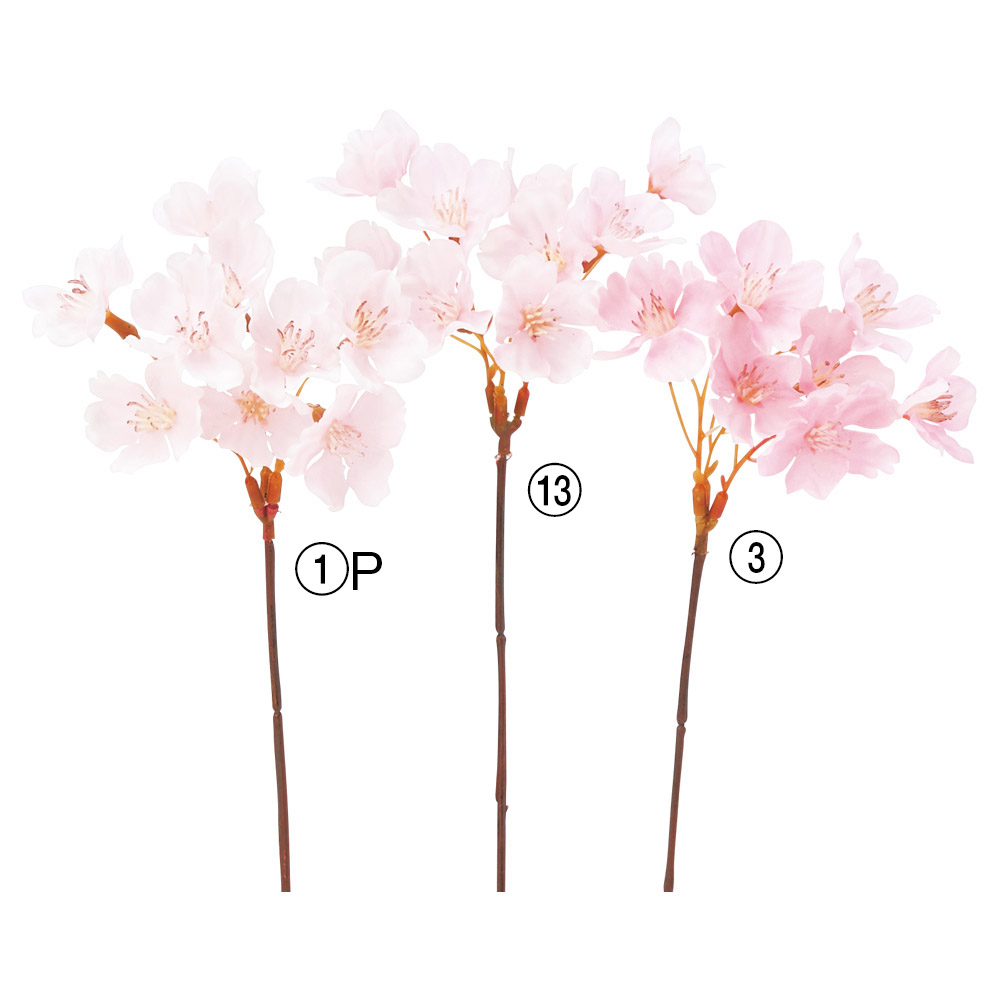 A-35498 桜ピック×９