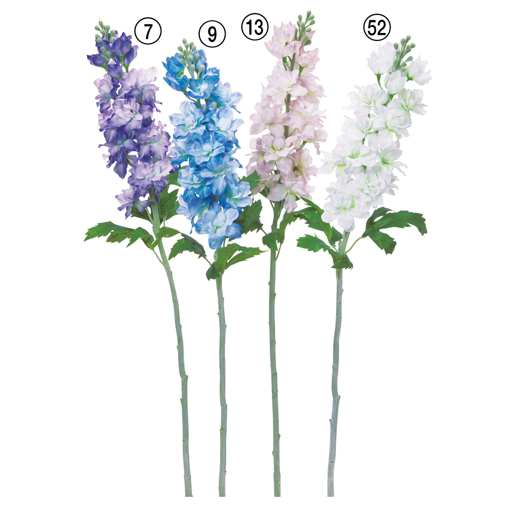 A-35510 デルフィニウム