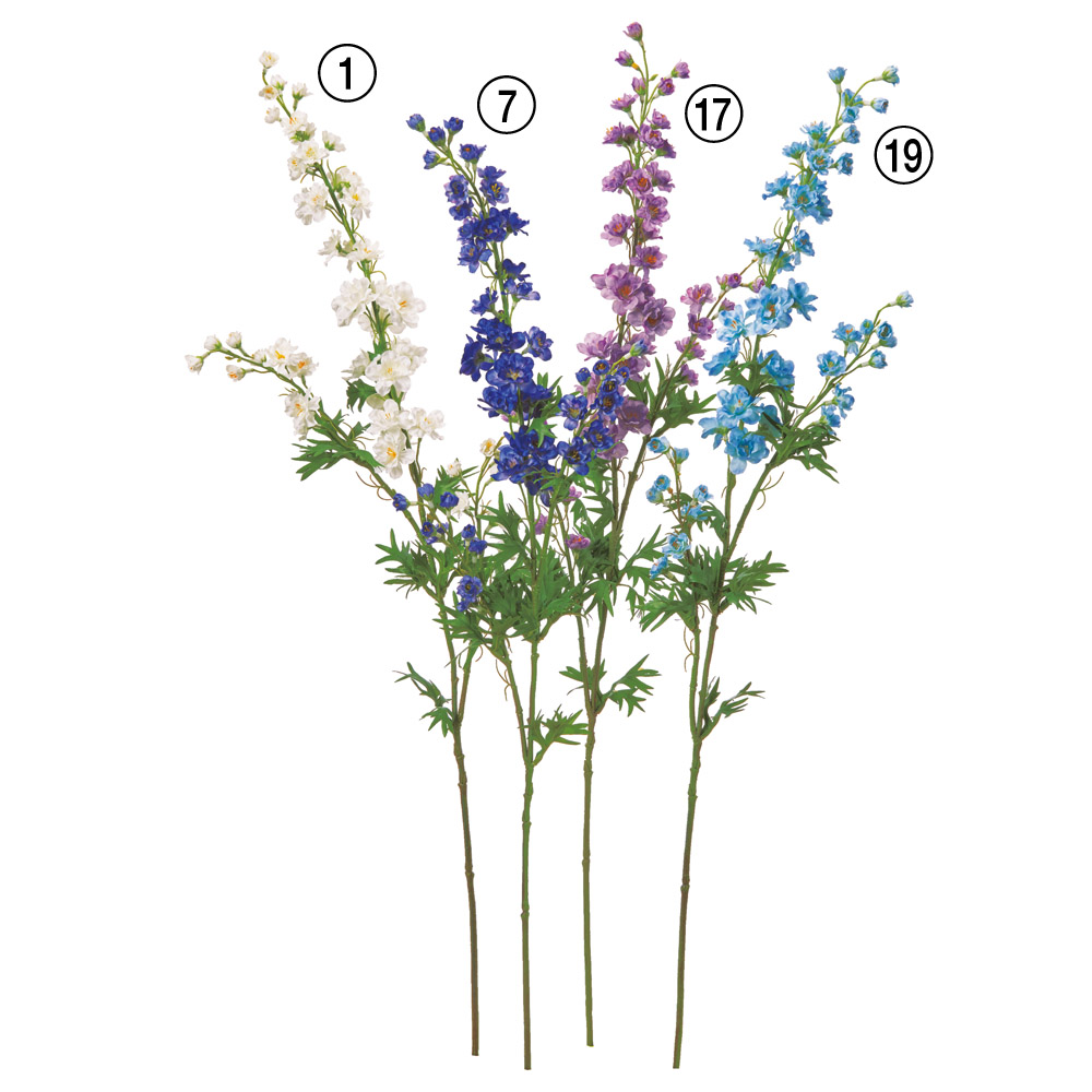 A-35511 デルフィニウム