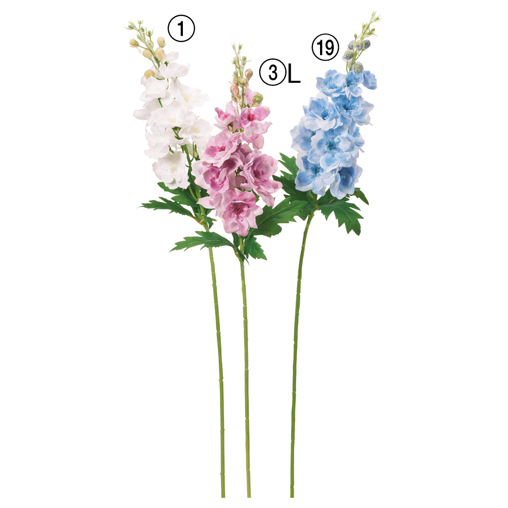 A-35512 デルフィニウム