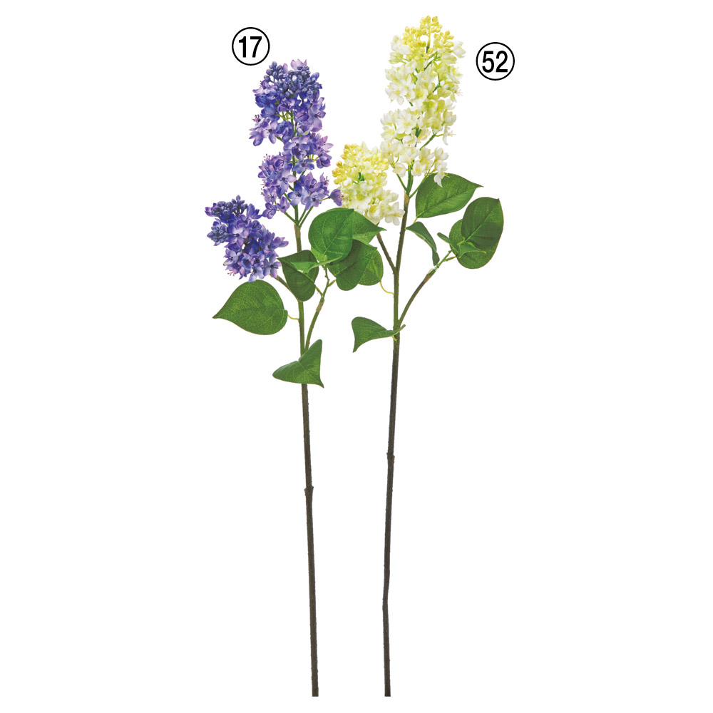 A-35513 ライラック×２