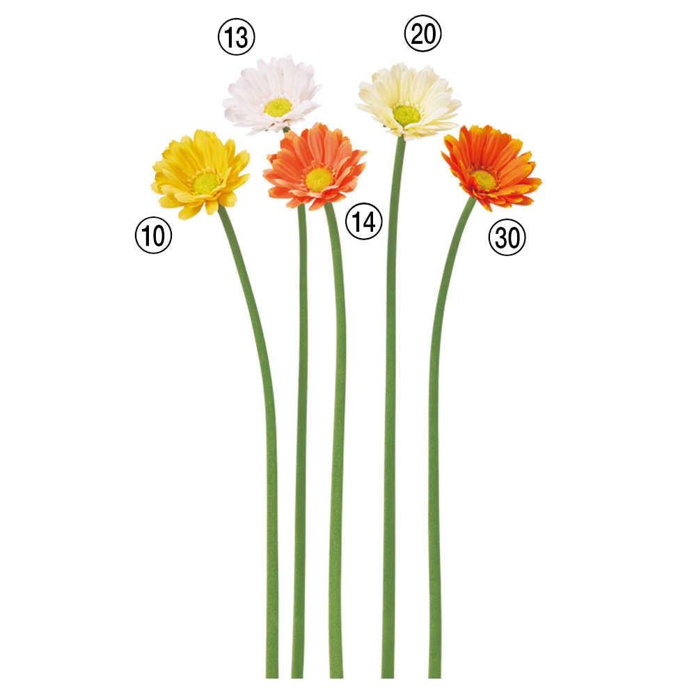 A-35515 ガーベラ