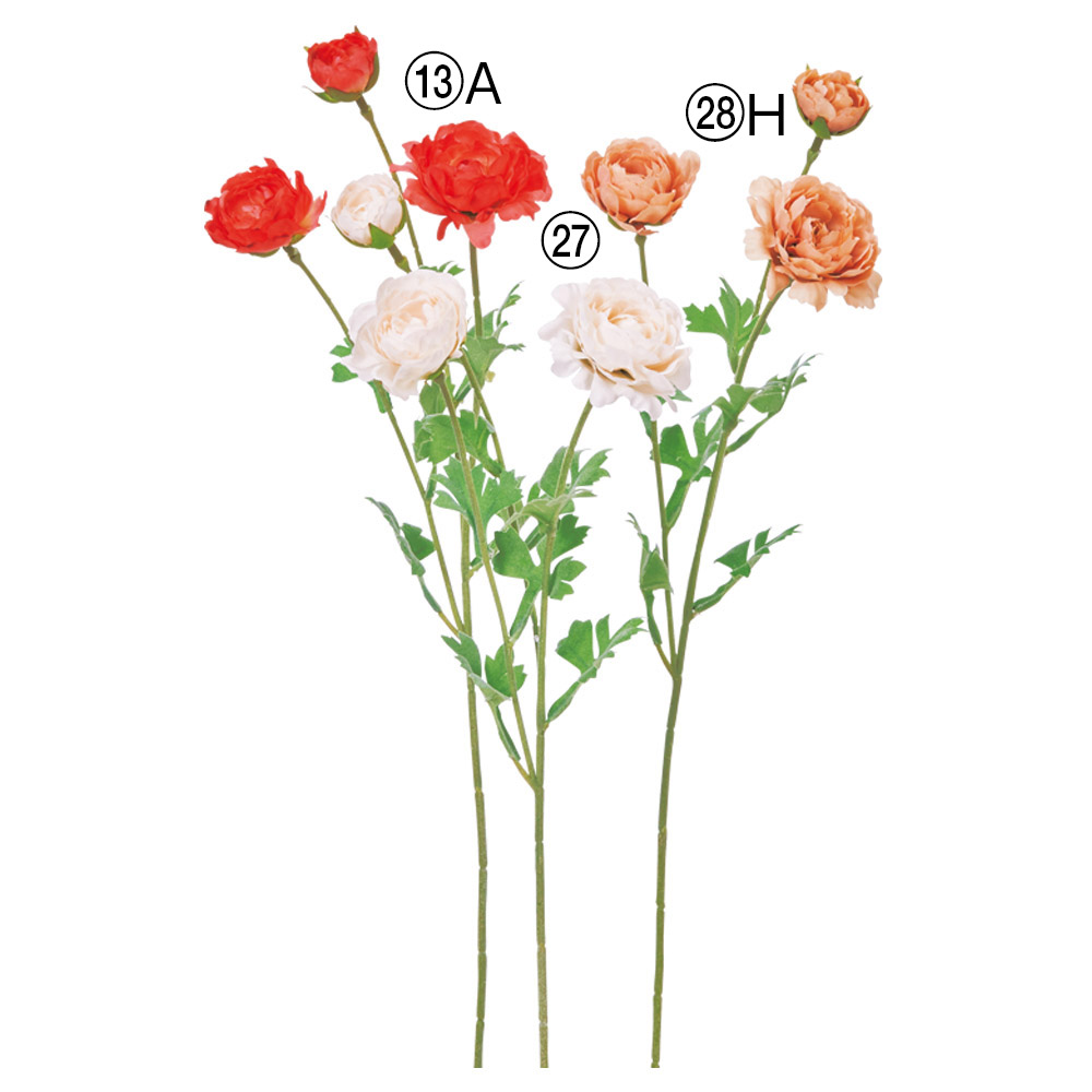 A-35517 ラナンキュラス×３