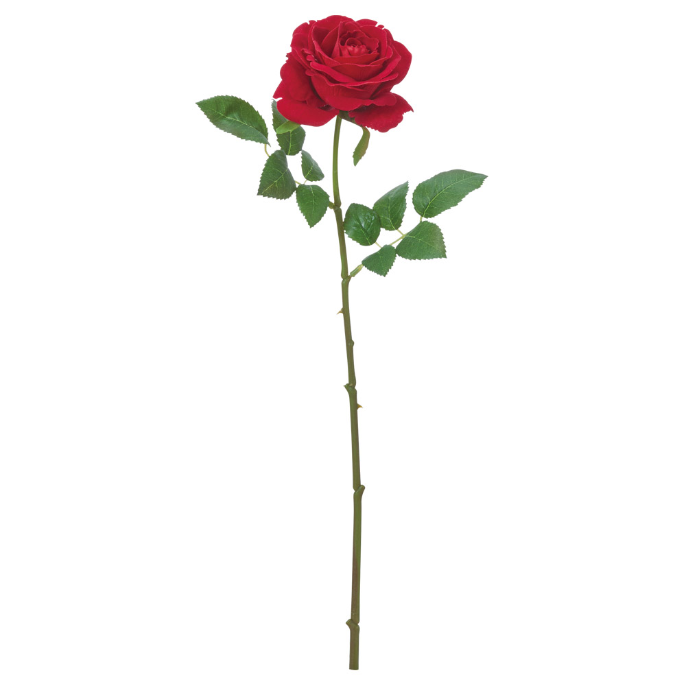 A-35521 ベルベットローズ