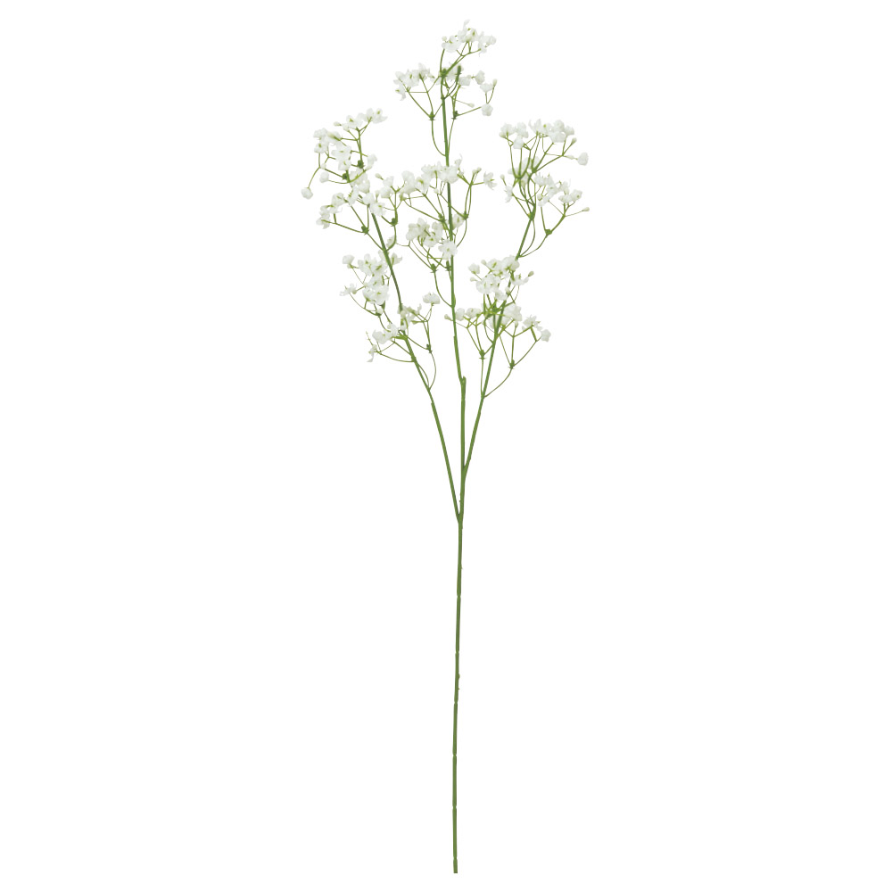 A-35532 ジプソフィラ×１４４　つぼみ×７２