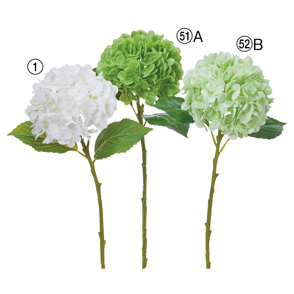 A-35533 ハイドランジア