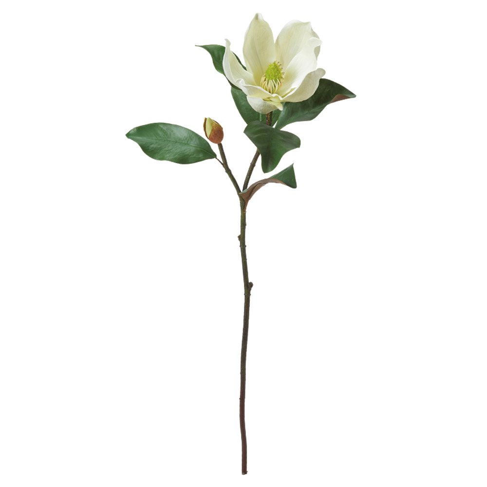 A-35535 マグノリア×１　つぼみ×１