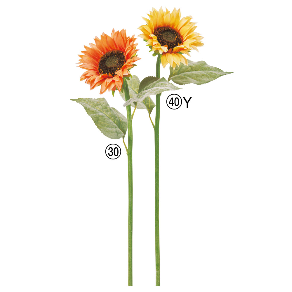 A-35538 サンフラワー