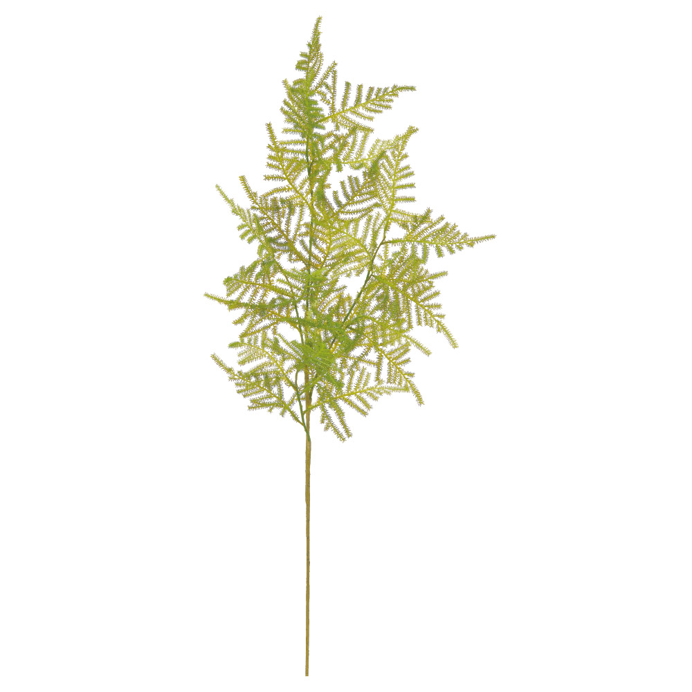 A-44765 ファーンスプレー