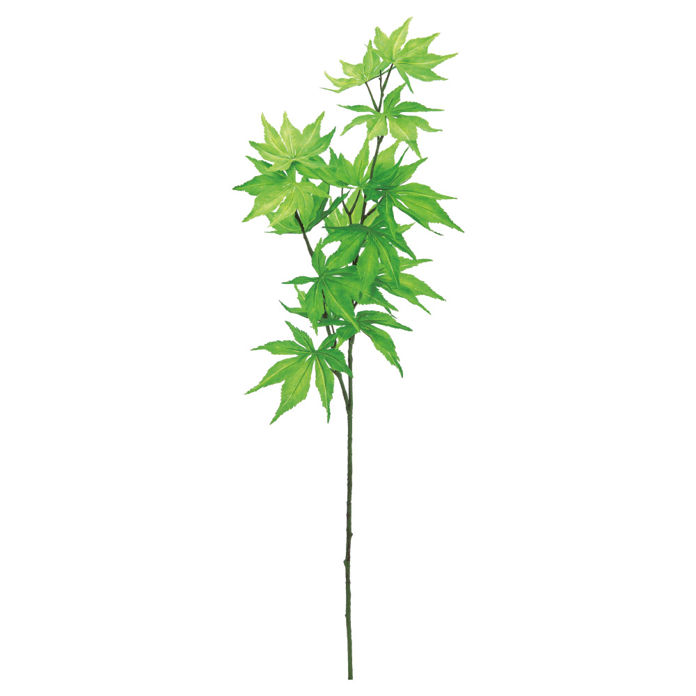 A-44782 リーフスプレー