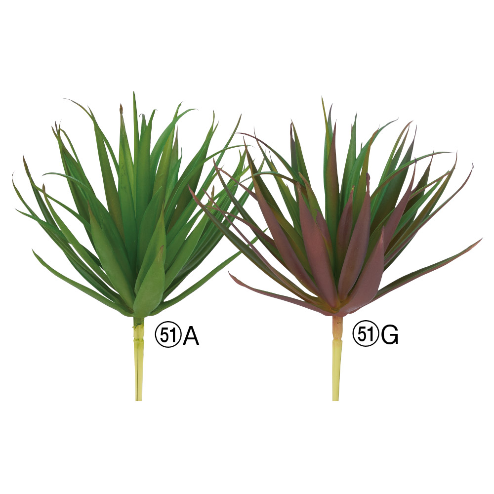 A-44784 サッカレンテン