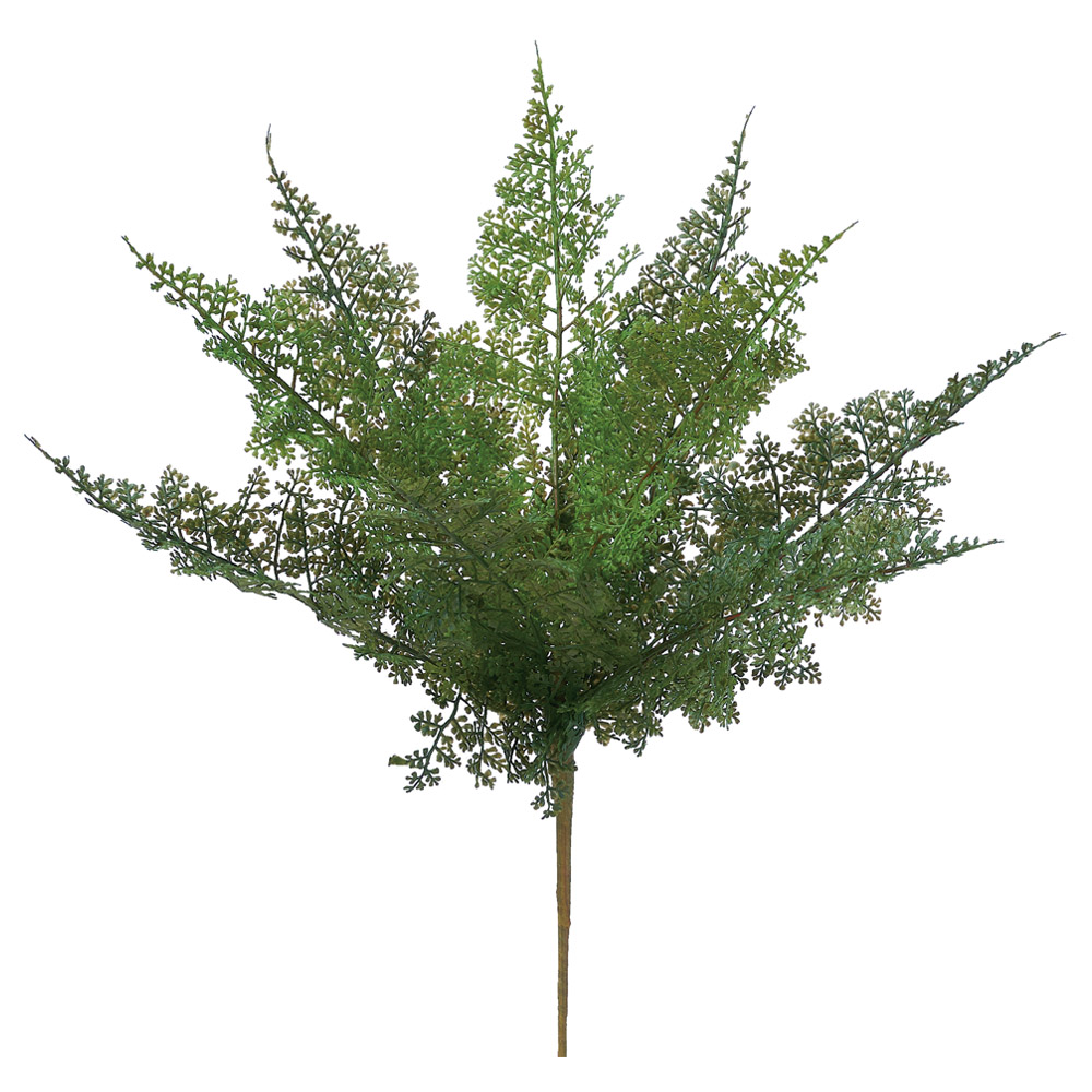 A-44787 ファーンブッシュ