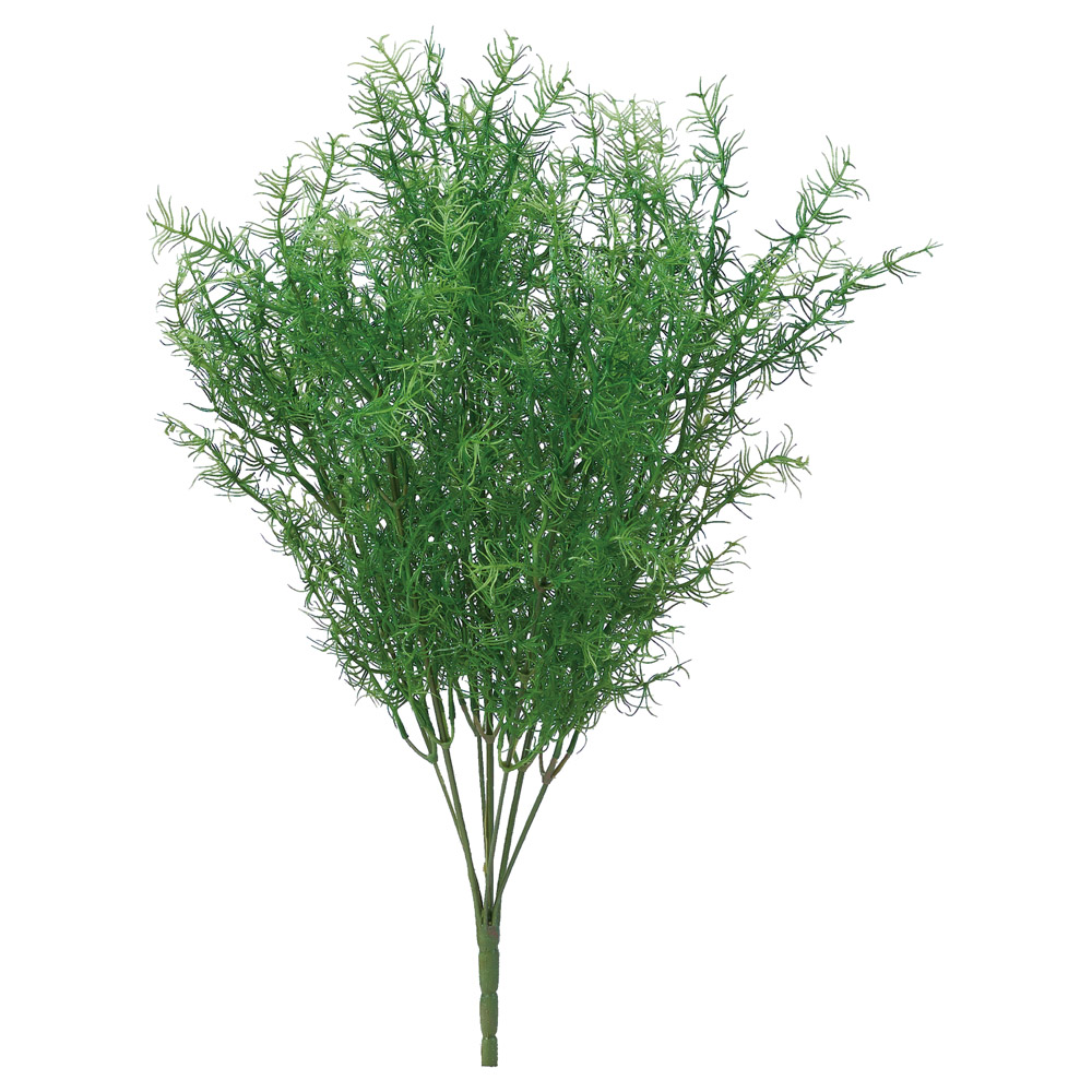 A-44788 スプレンゲリーブッシュ