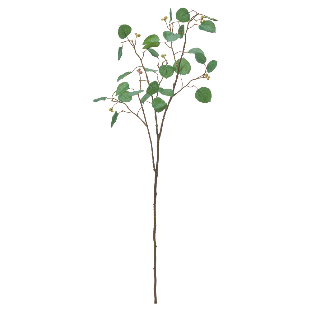 A-44790 ベリーリーフスプレー