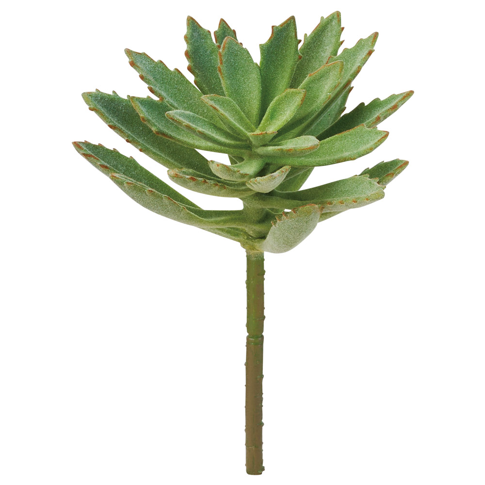 A-44792 サッカレンテン