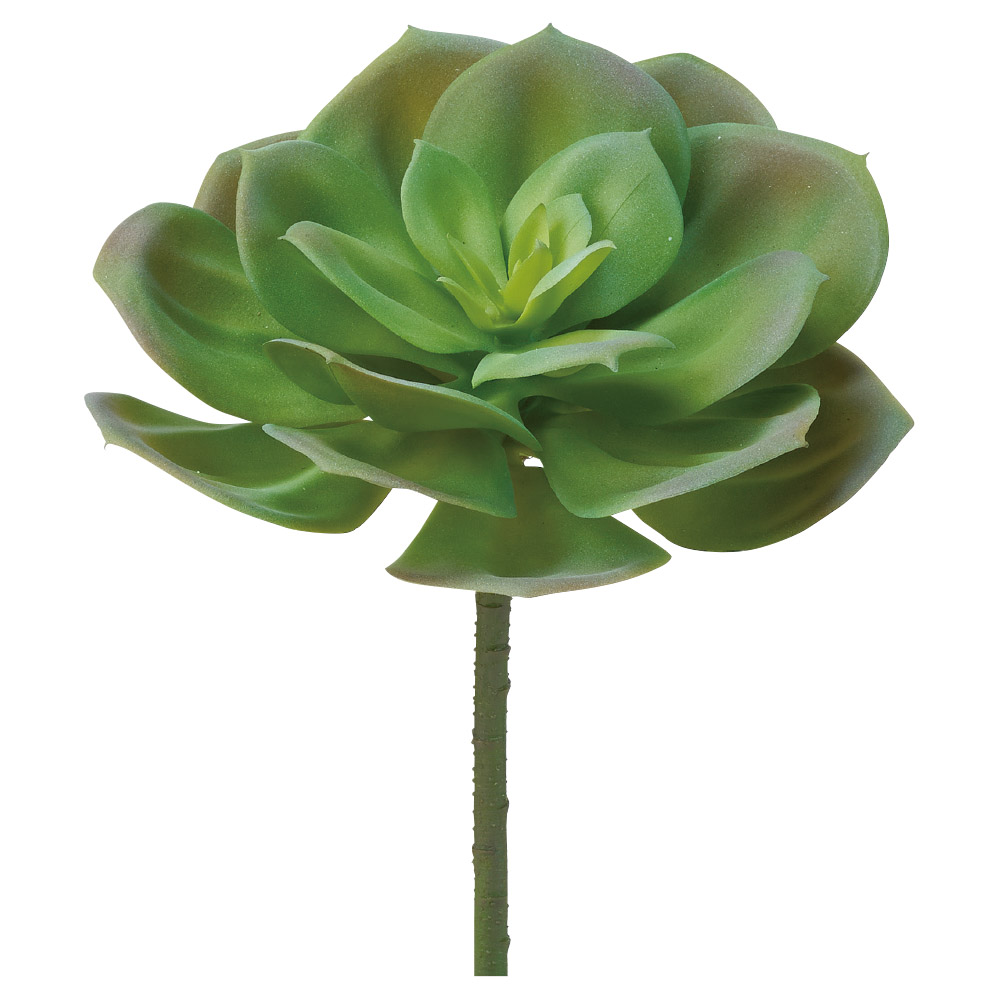 A-44794 サッカレンテン