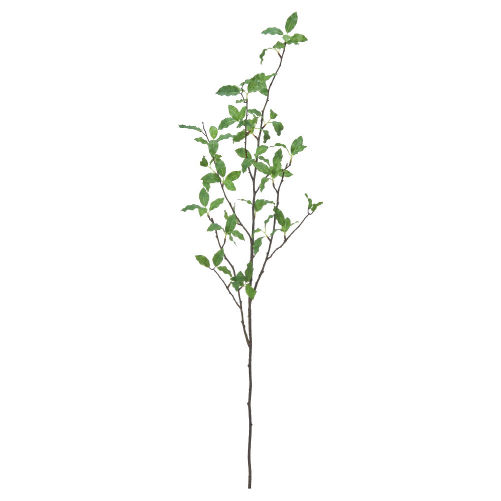 A-44801 ピットスポラム