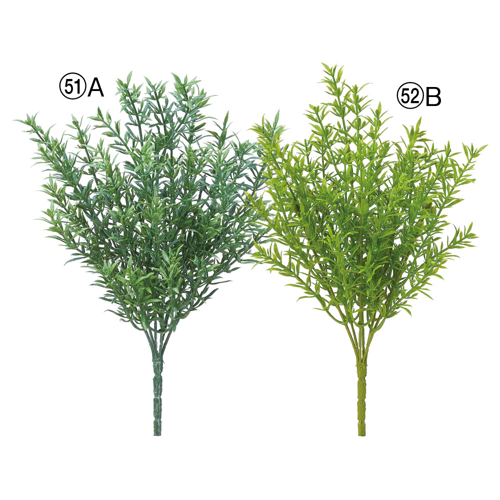 A-44811 ティーツリーブッシュ