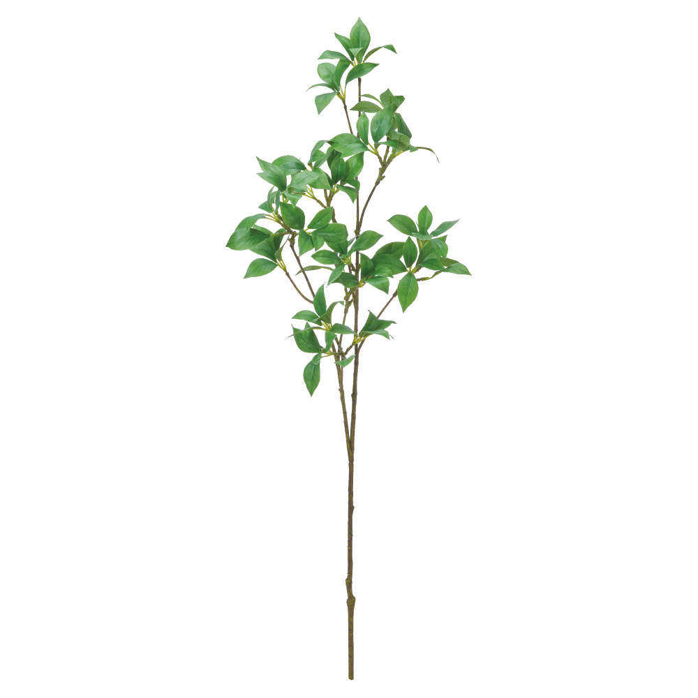 A-44824 リーフスプレー