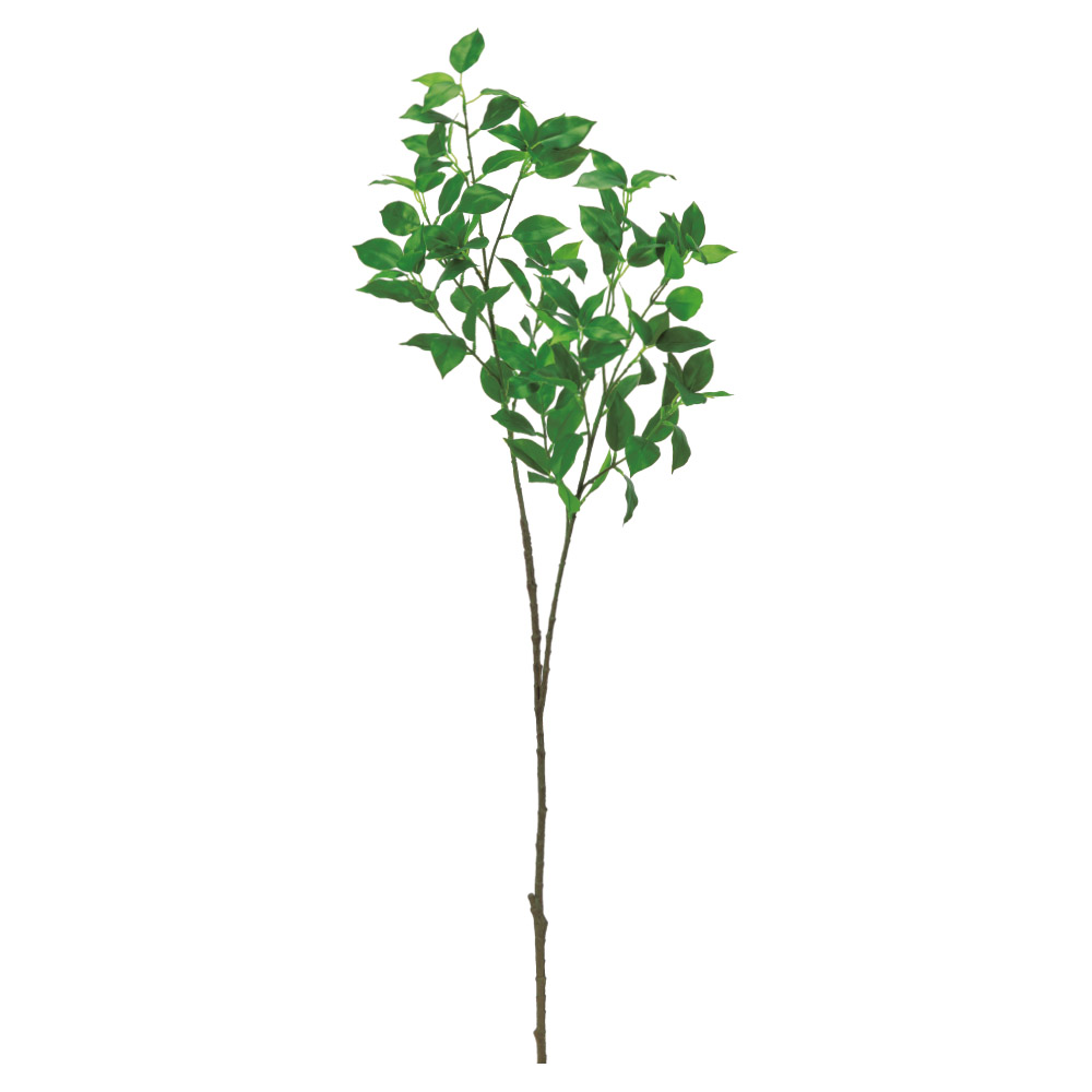 A-44834 ファイカス