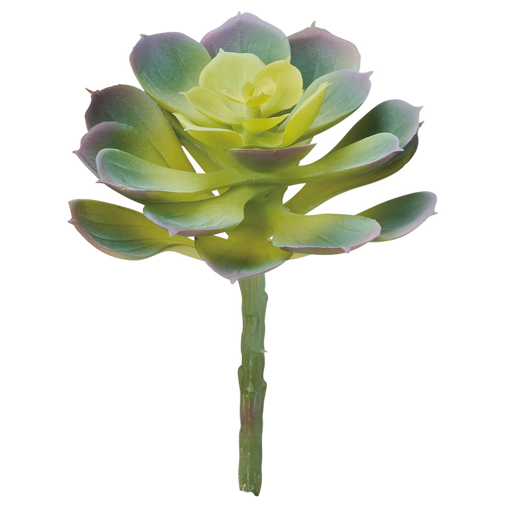 A-44837 サッカレンテン