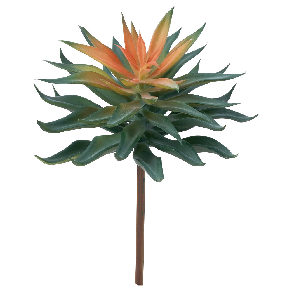 A-44838 サッカレンテン