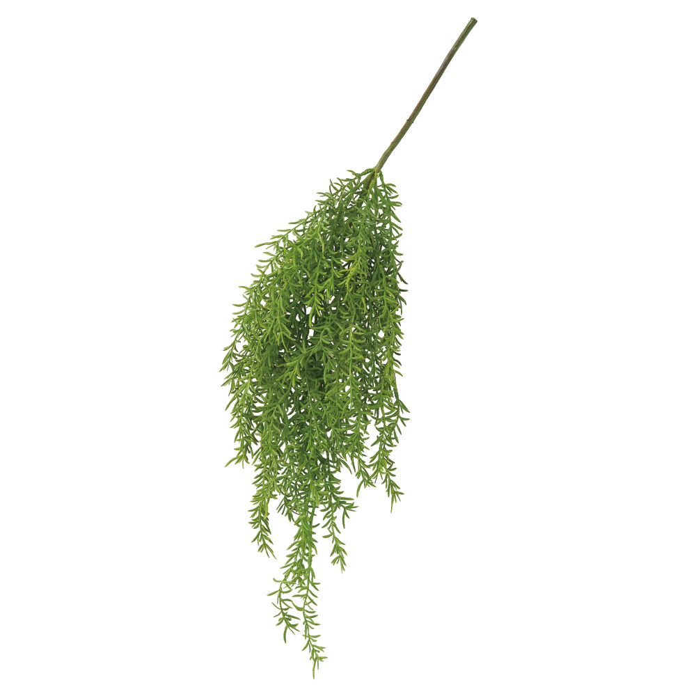 A-44841 ローズマリーハンギングスプレー