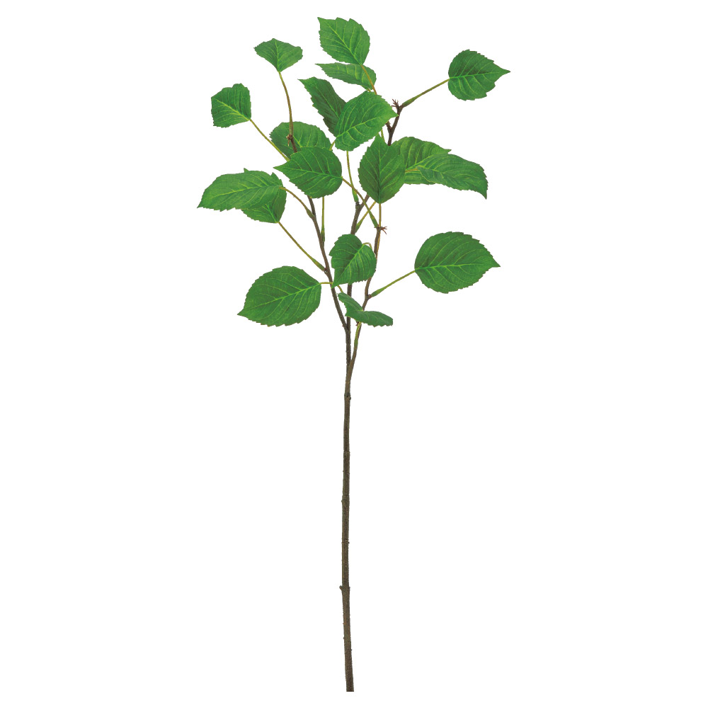 A-44844 リーフスプレー