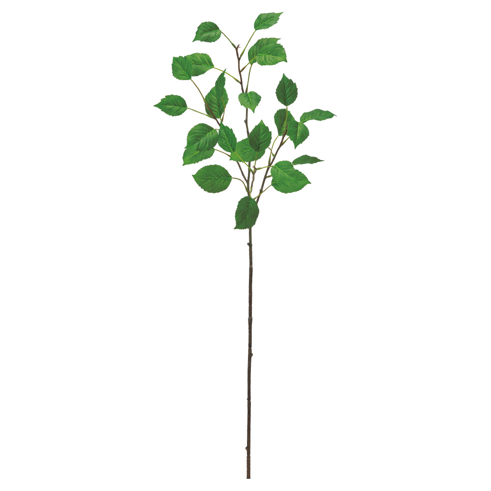 A-44845 リーフスプレー