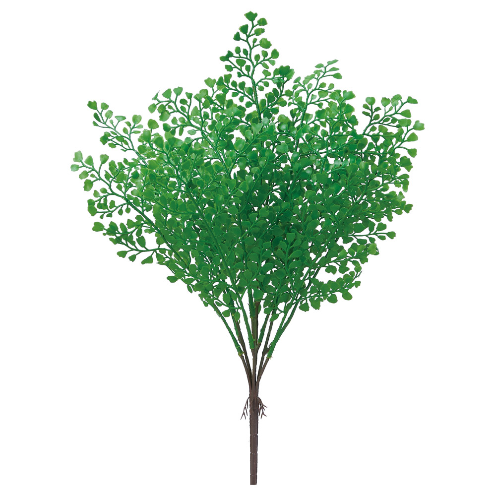 A-44857 メイデンヘアーブッシュ