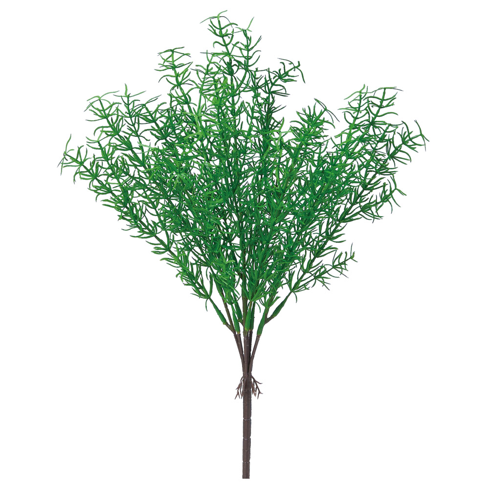 A-44858 スプレンゲリーブッシュ