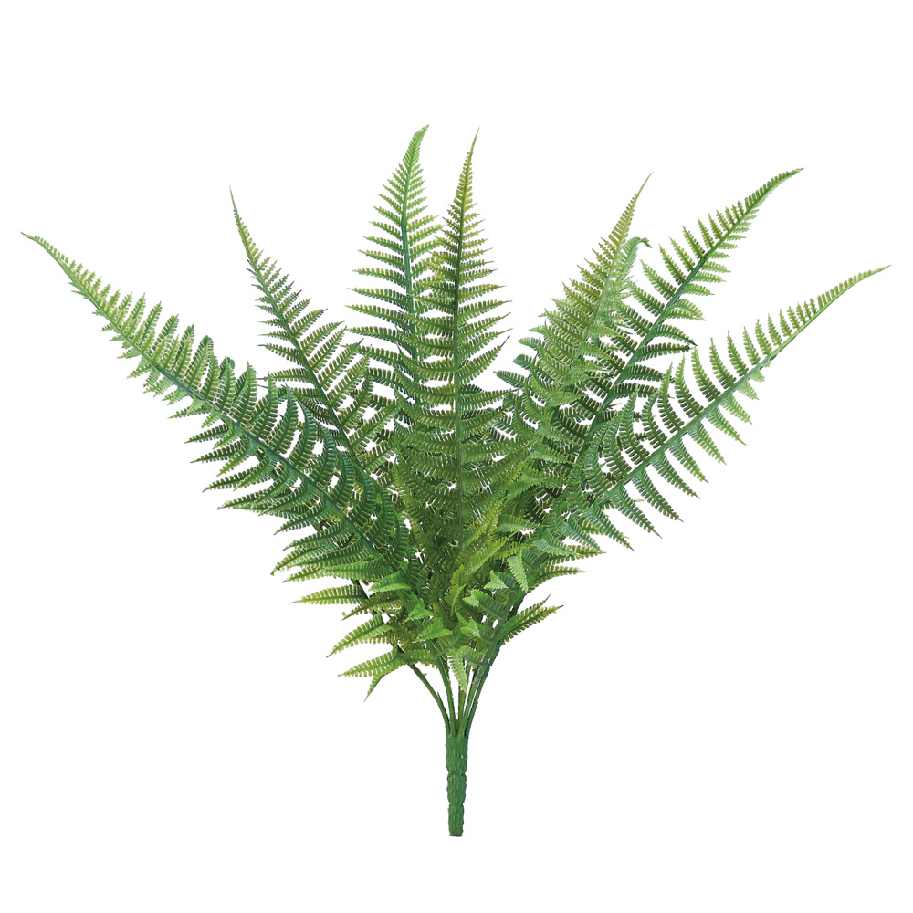 A-44861 ファーンブッシュ