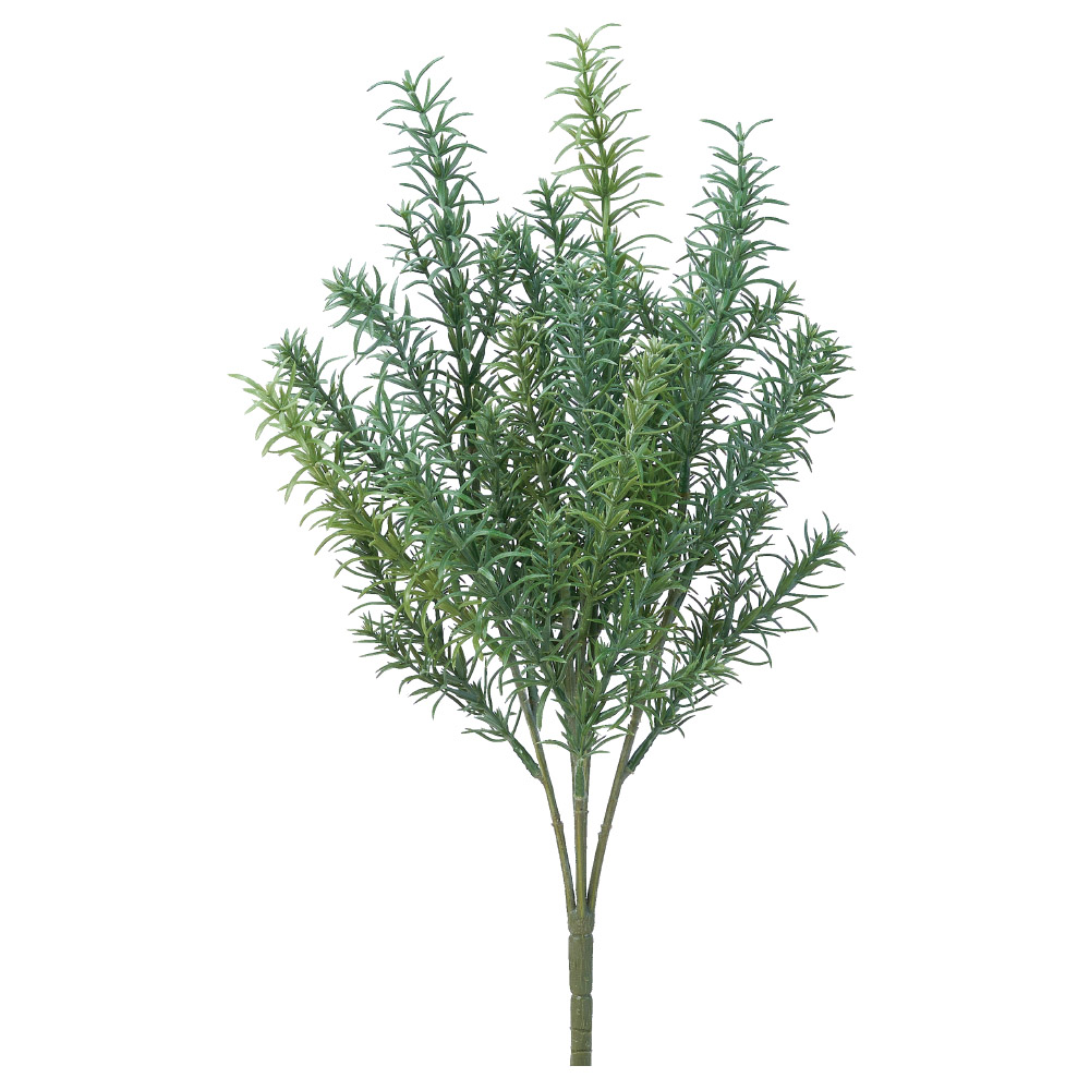 A-44865 ローズマリーブッシュ