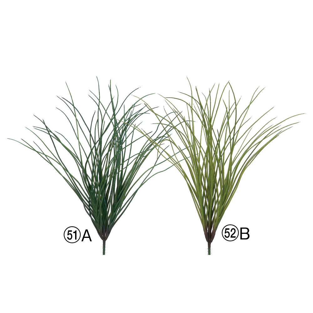 A-44867 グラスブッシュ