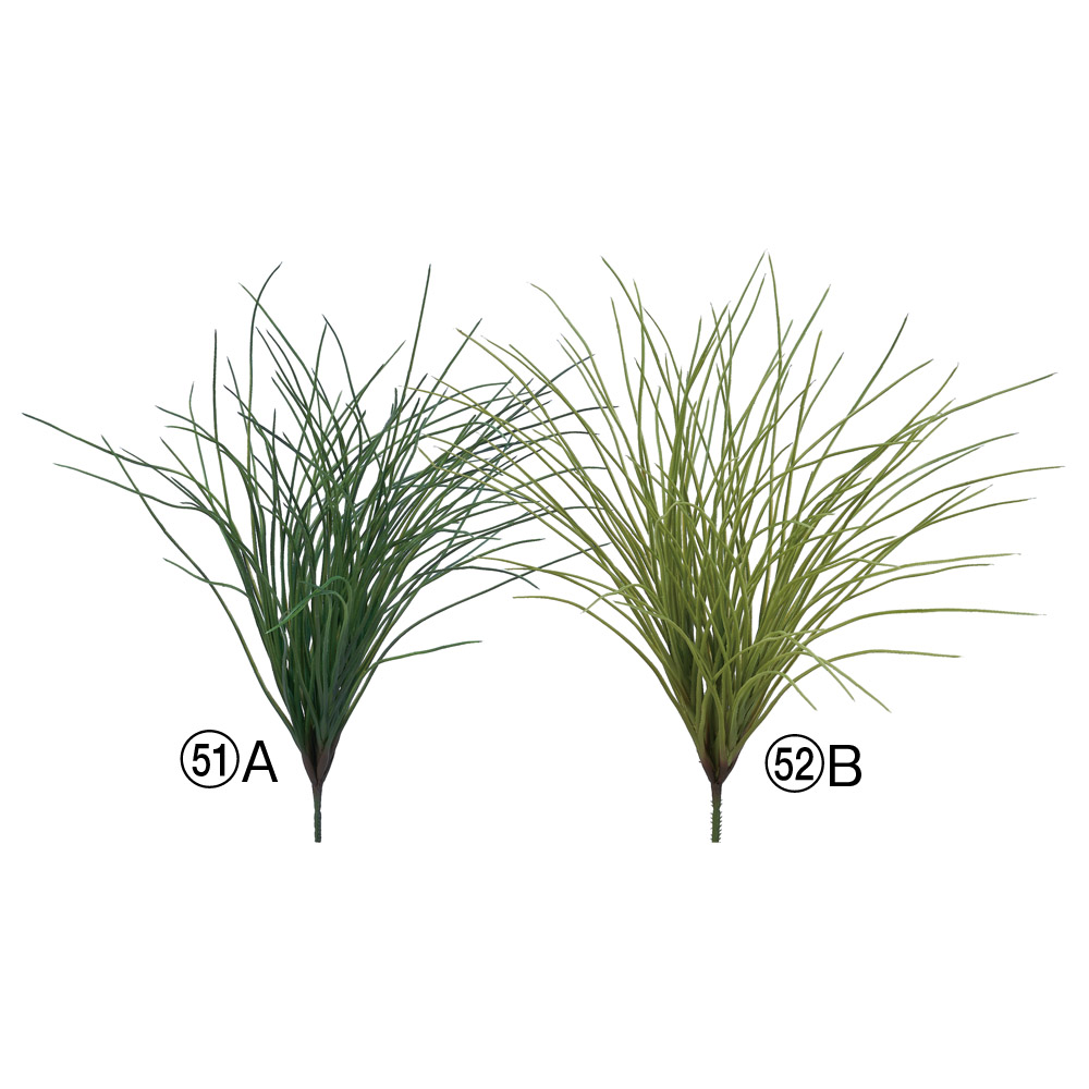 A-44868 グラスブッシュ