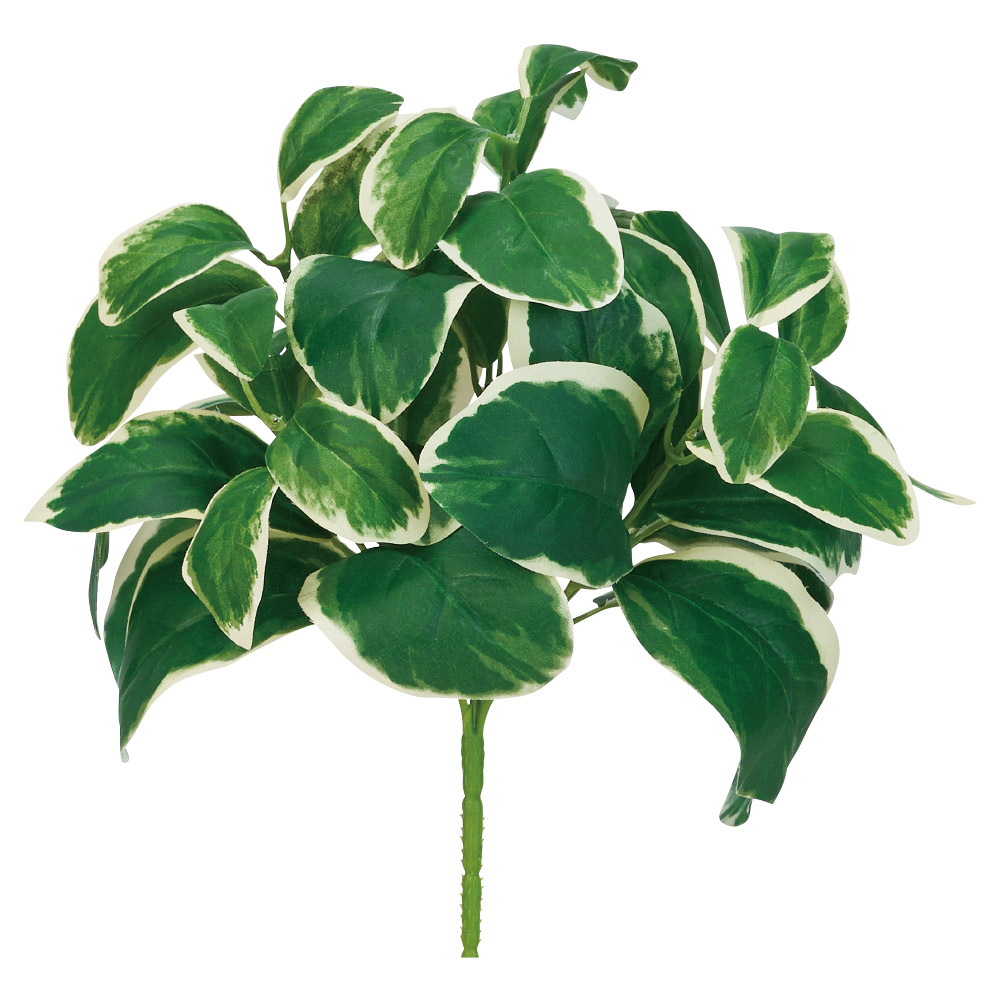 A-44872 ツルニチニチソウブッシュ