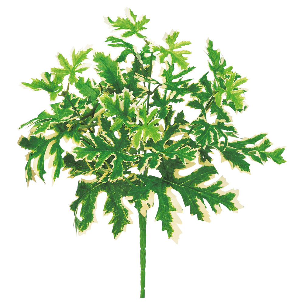 A-44873 ゼラニウムブッシュ