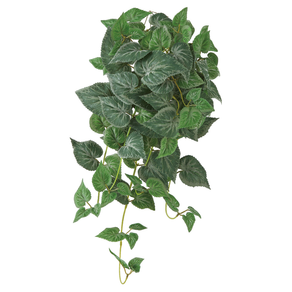 A-44877 ベゴニアハンギングブッシュ