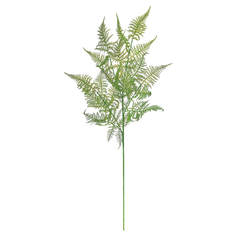 A-44886 ファーンスプレー