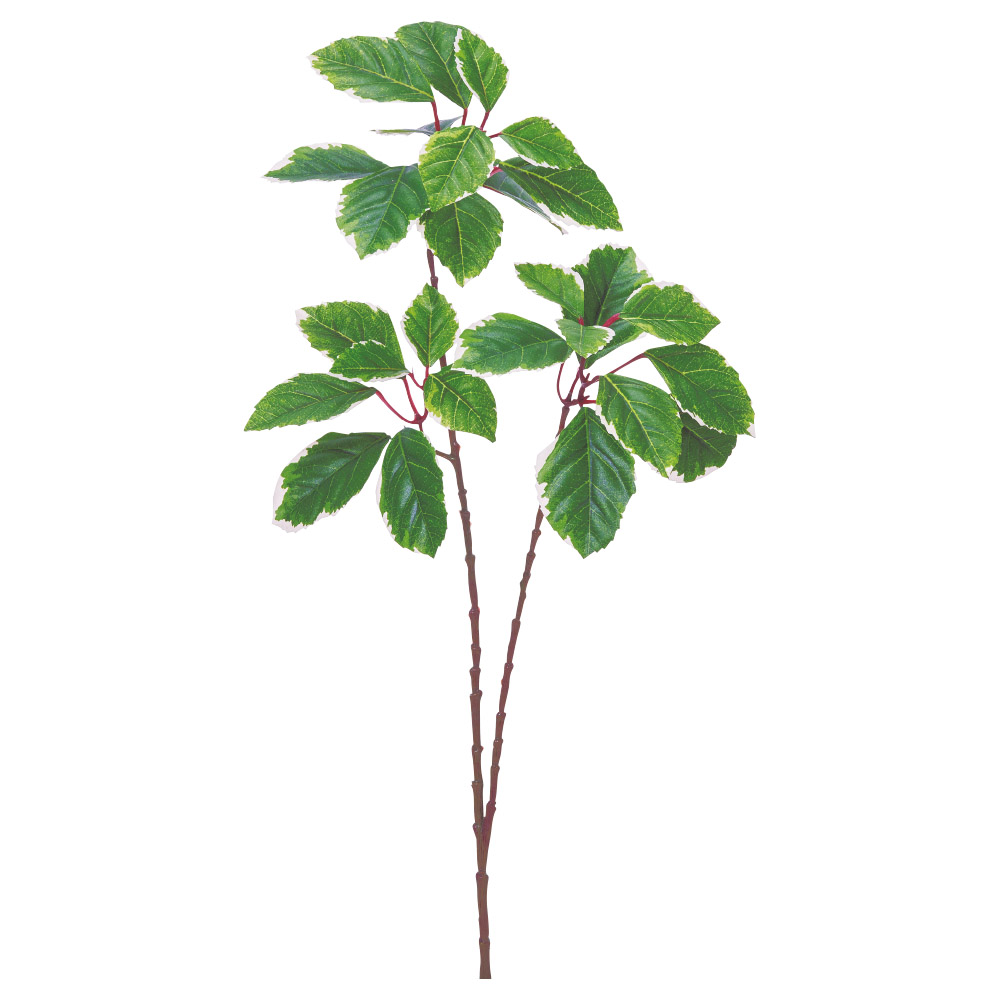 A-44889 リーフスプレー