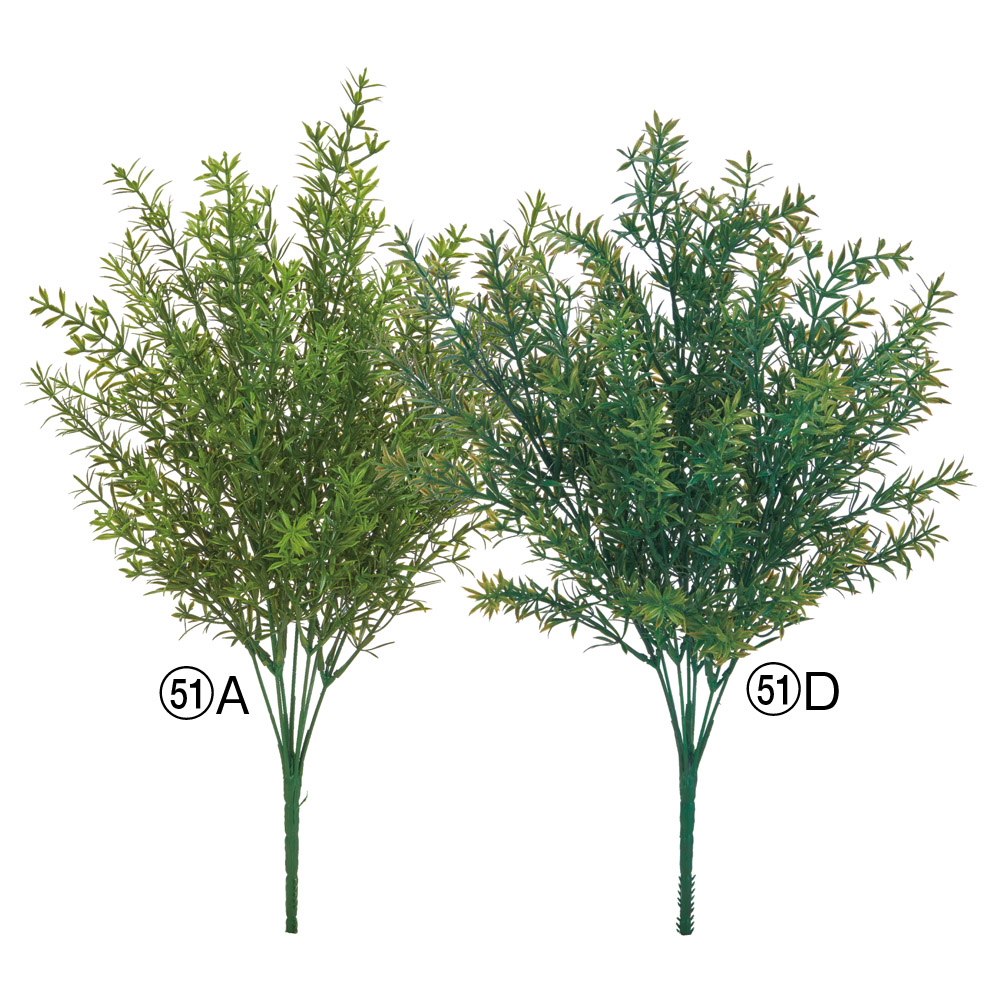 A-44892 ティーツリーブッシュ