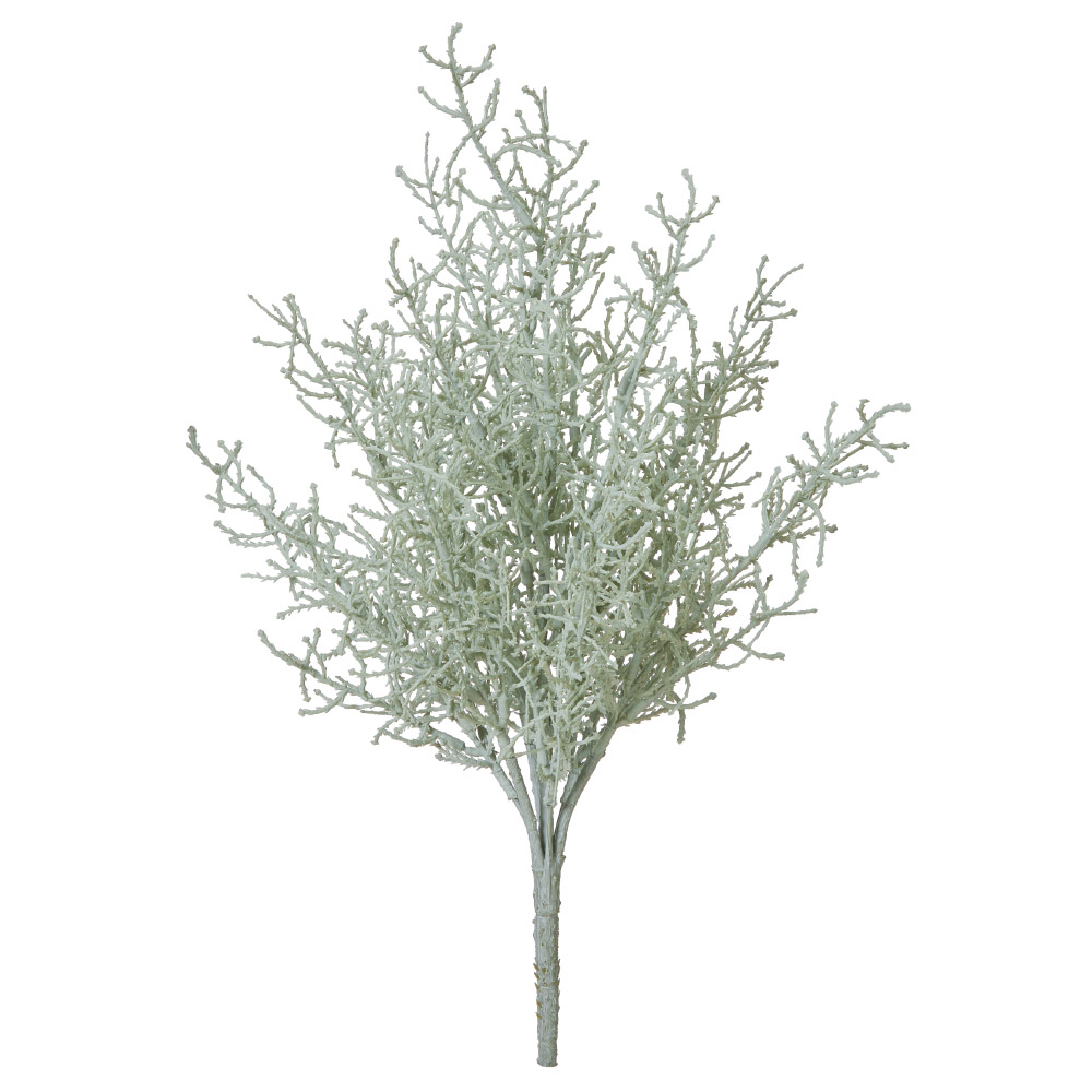 A-44914 サントリナブッシュ