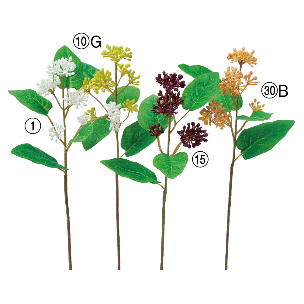 A-48036 ベリーピック