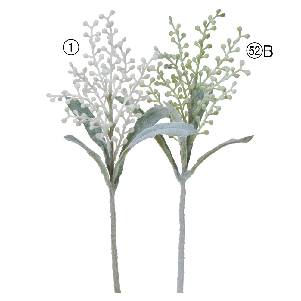 A-48037 ベリースプレー