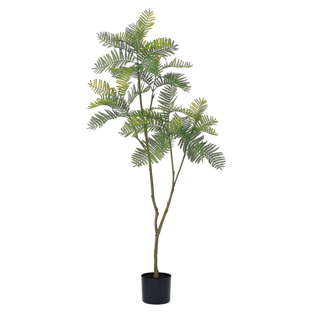 A-51172 エバーフレッシュ（ポット付）