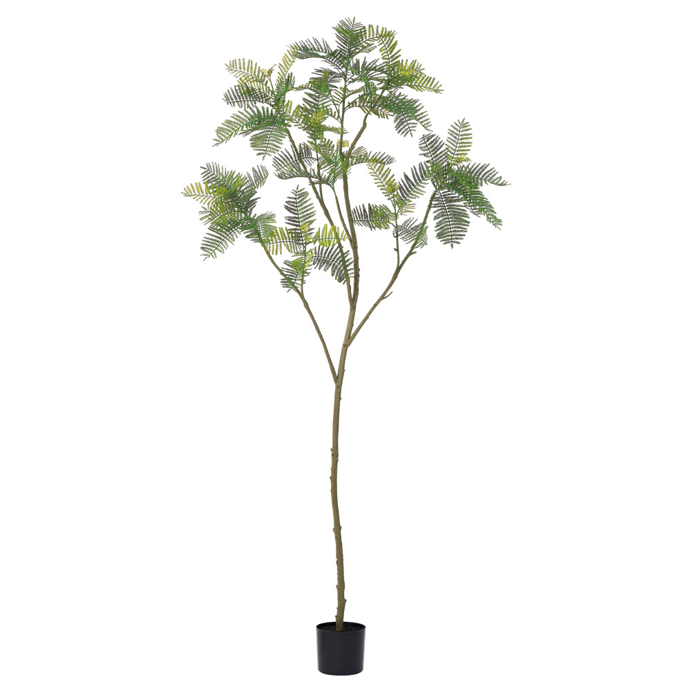 A-51174 エバーフレッシュ（ポット付）