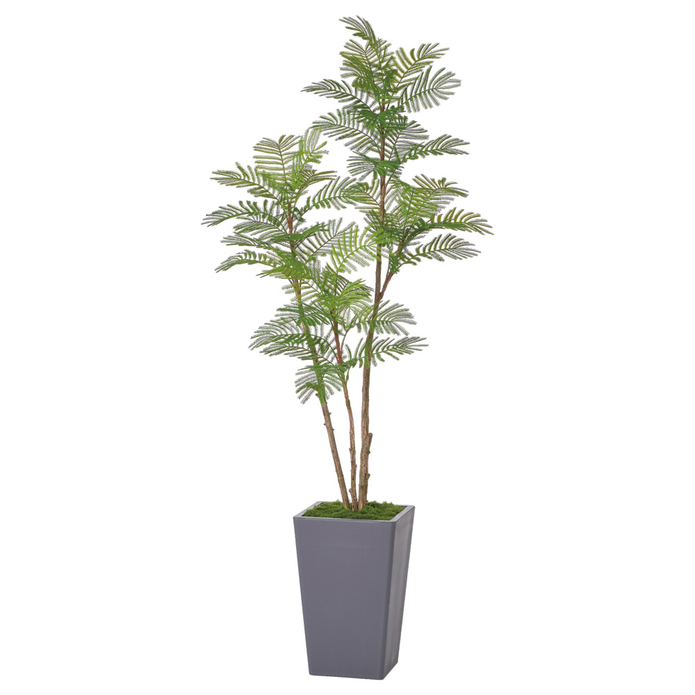 A-51183 エバーフレッシュ（コンテナキット）